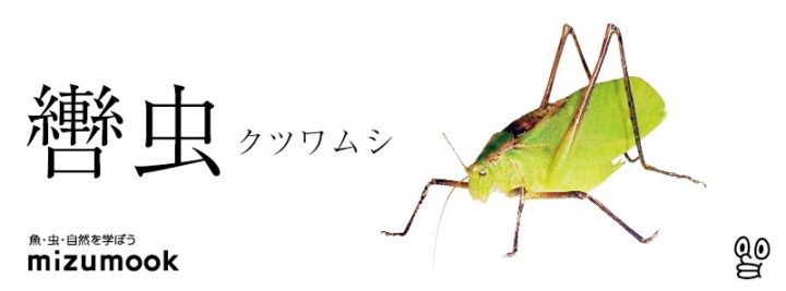 autumn-bug-kutsuwa-musi