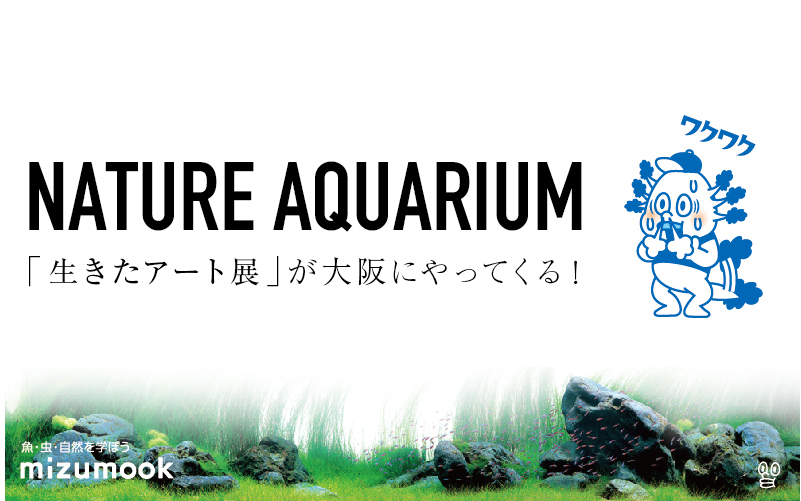 NATURE AQUARIUM／「生きたアート展」が大阪にやってくる！／ADA ・大阪・グランフロント・アクアリウム・展覧会